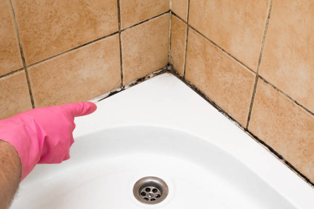 Best Residential Mold Remediation in Hemby Bridge, NC